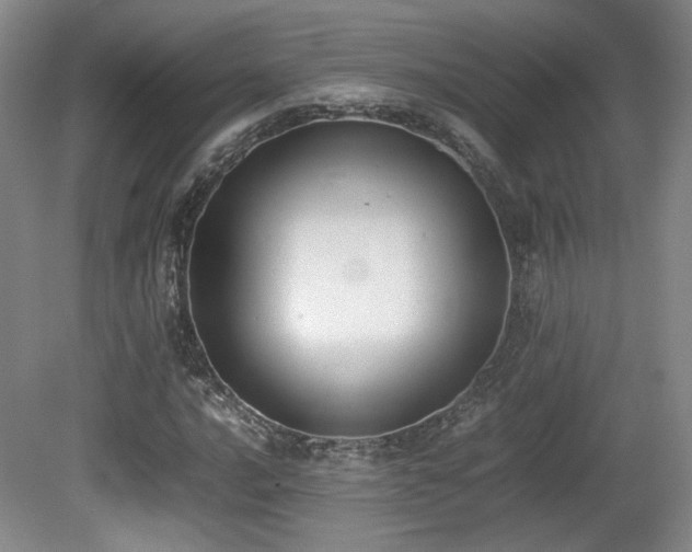 X0000080781016200612151423