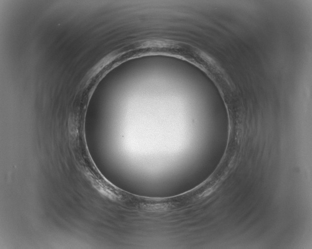 X0000080781017200612151423