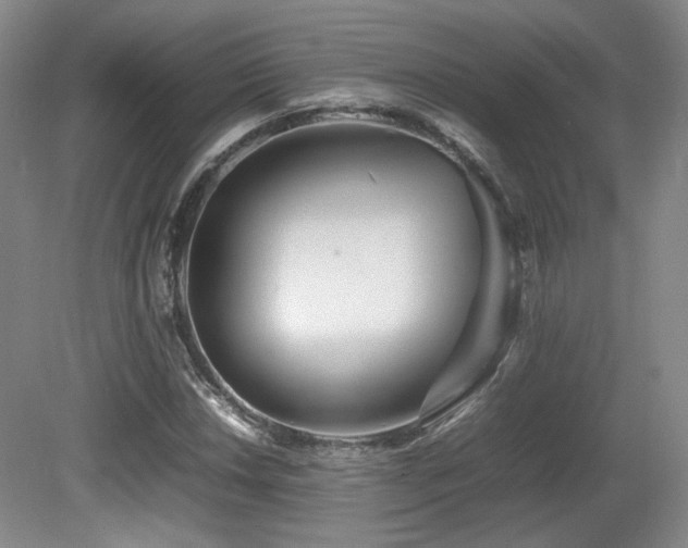 X0000080781018200612151423