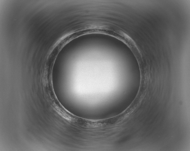 X0000080781019200612151423