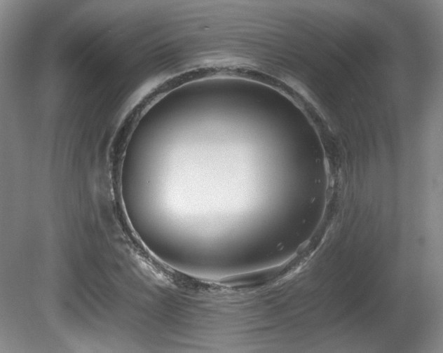 X0000080781022200612151423