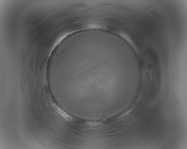 X0000080781023200612151423