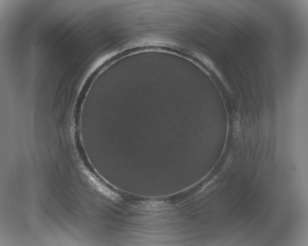 X0000080781024200612151423