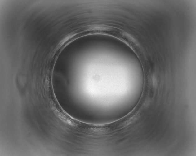 X0000080781025200612151423