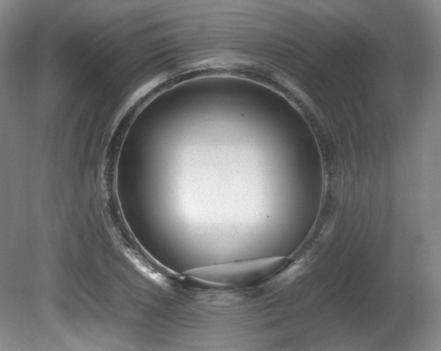 X0000080781026200612151423
