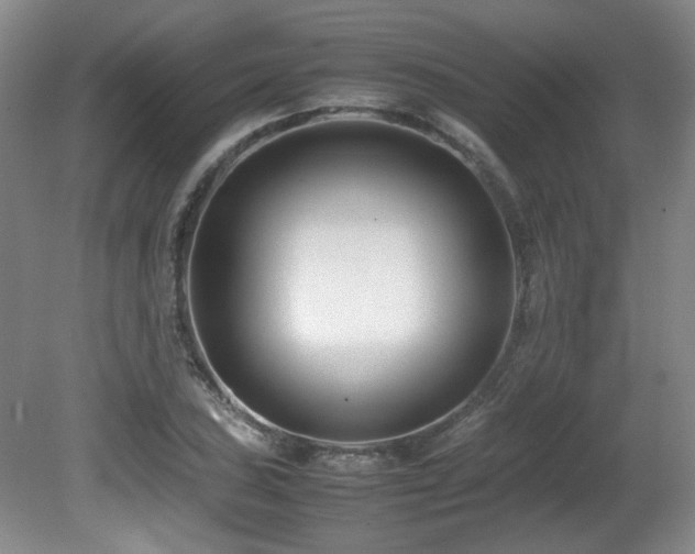 X0000080781027200612151423