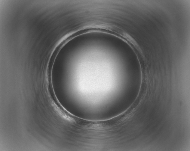 X0000080781028200612151423