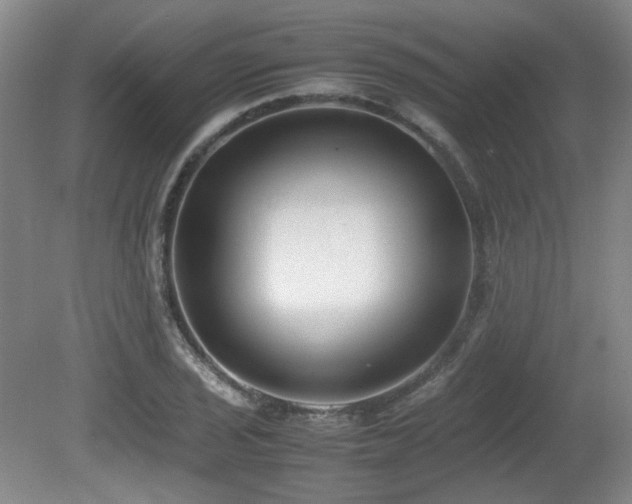 X0000080781029200612151423