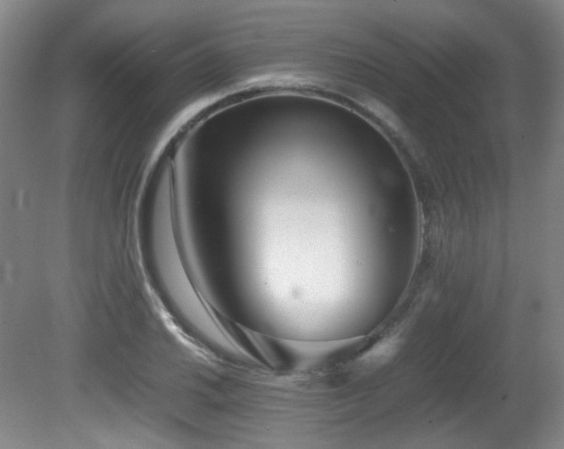 X0000080781030200612151423