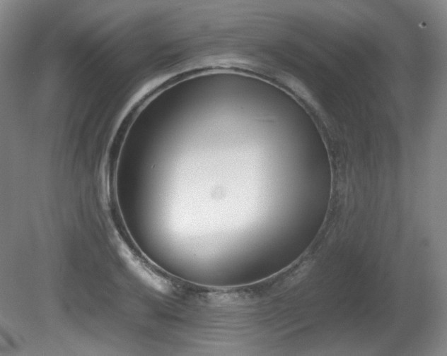 X0000080781032200612151423