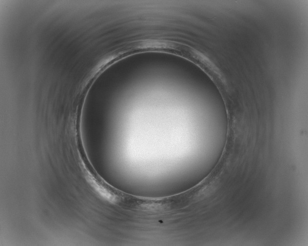 X0000080781033200612151423