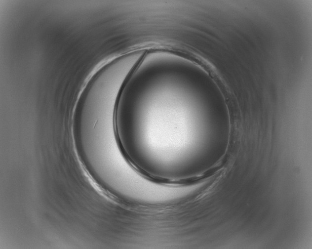 X0000080781034200612151423