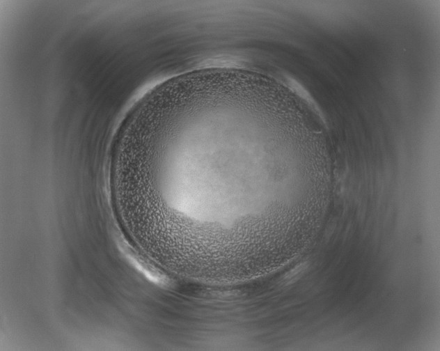 X0000080781035200612151423