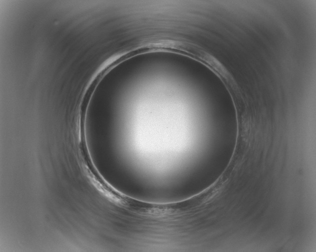 X0000080781036200612151423