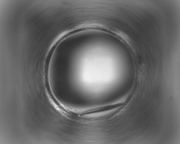 X0000080781038200612151424