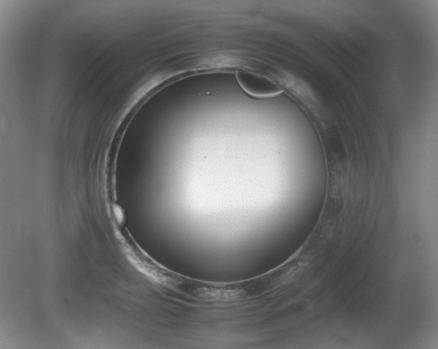 X0000080781039200612151424