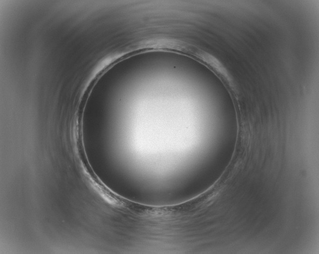 X0000080781040200612151424