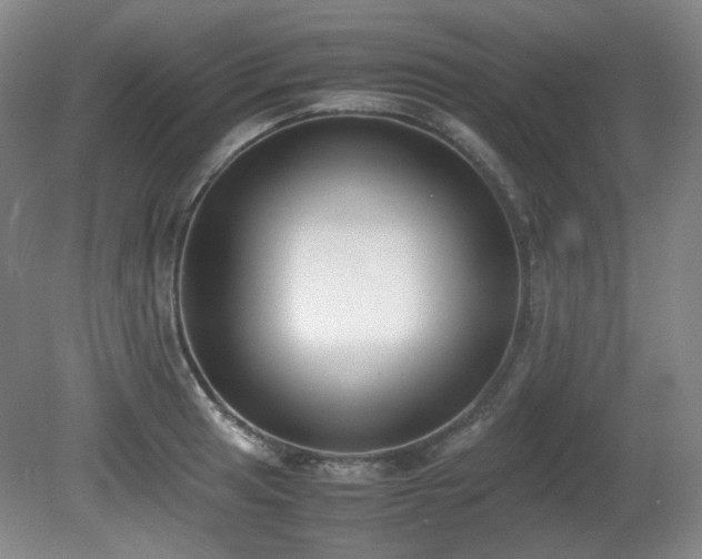 X0000080781041200612151424