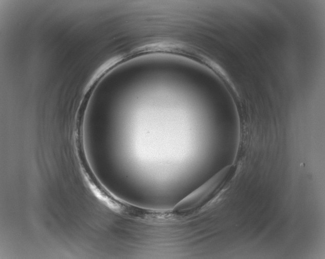 X0000080781042200612151424