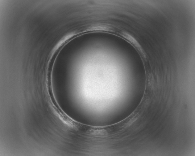 X0000080781043200612151424