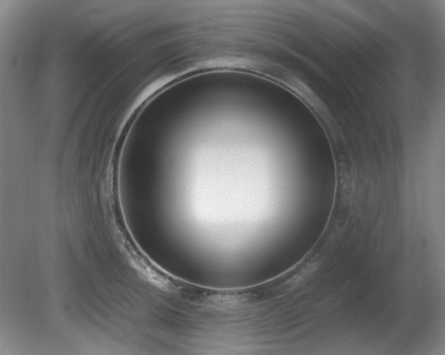 X0000080781044200612151424