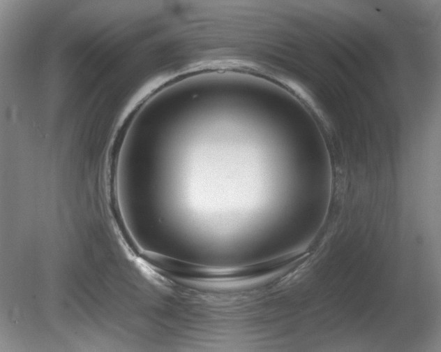 X0000080781046200612151424