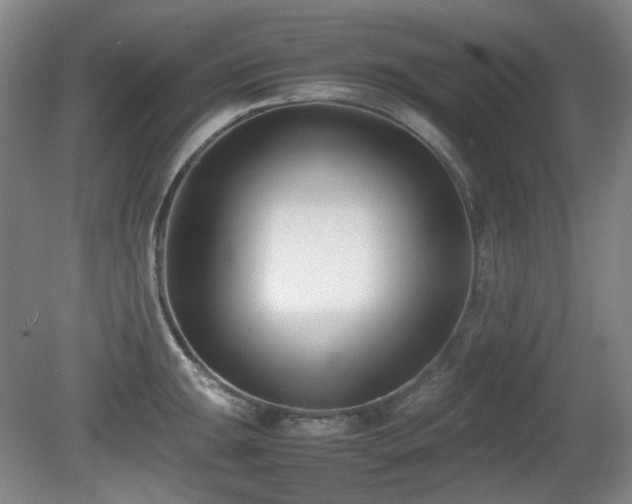 X0000080781047200612151424
