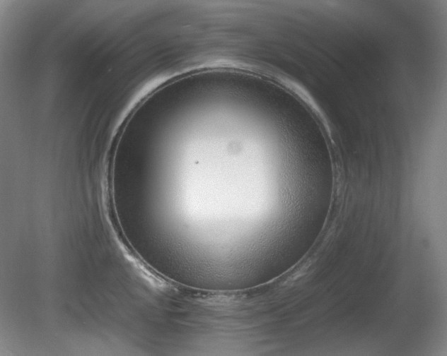 X0000080781048200612151424