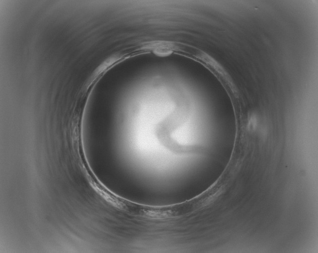 X0000080781049200612151424