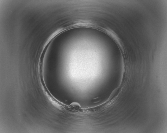 X0000080781050200612151424
