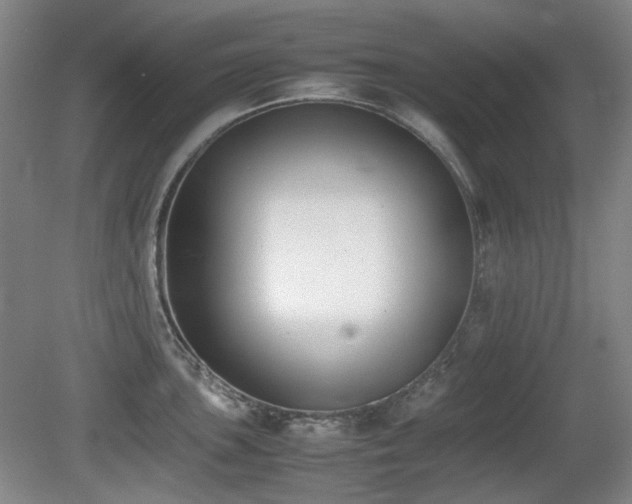 X0000080781051200612151424