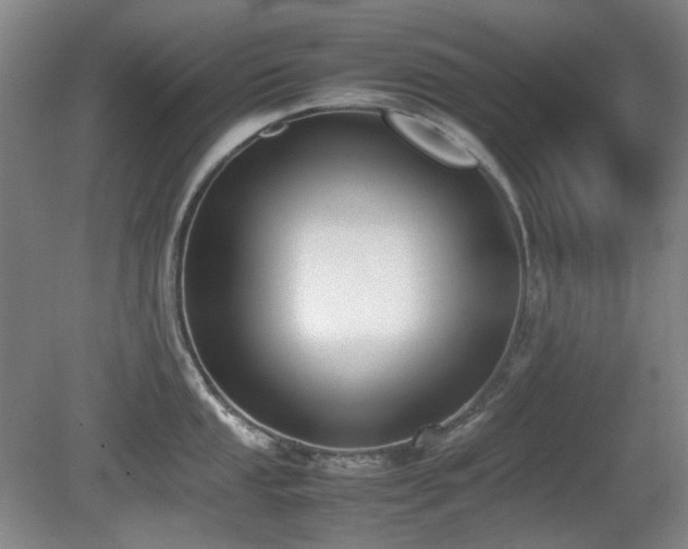 X0000080781053200612151424