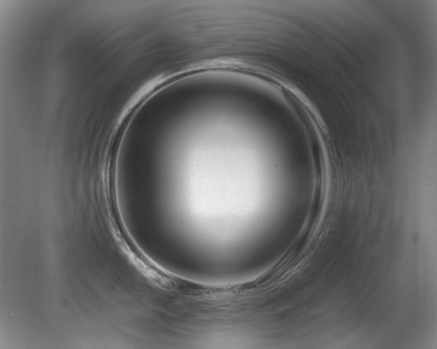 X0000080781054200612151424