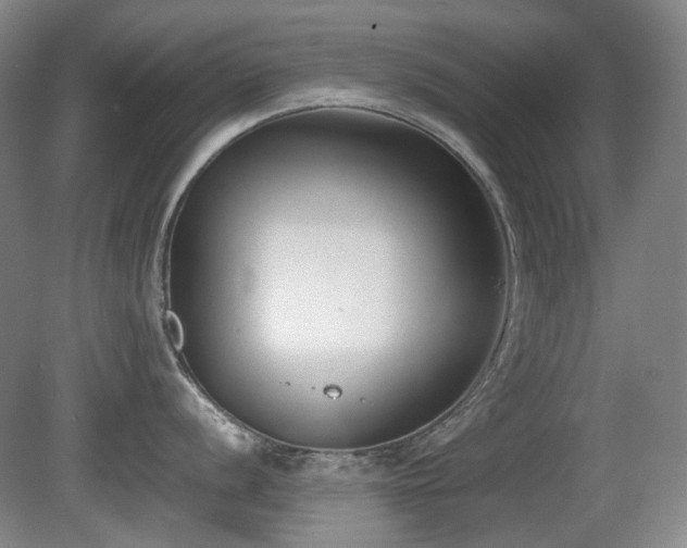 X0000080781056200612151424
