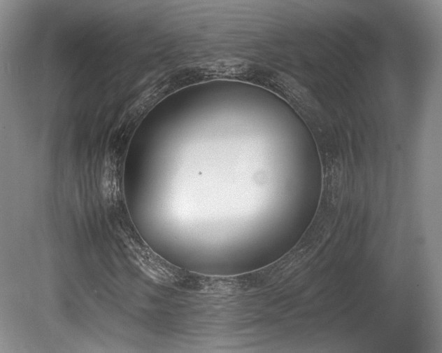 X0000080781058200612151423