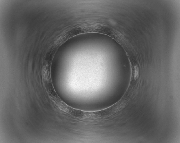 X0000080781059200612151423