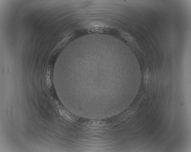 X0000080781060200612151423