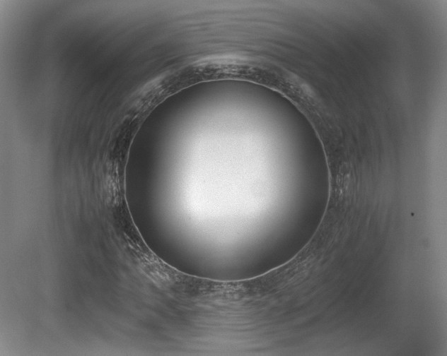 X0000080781062200612151423