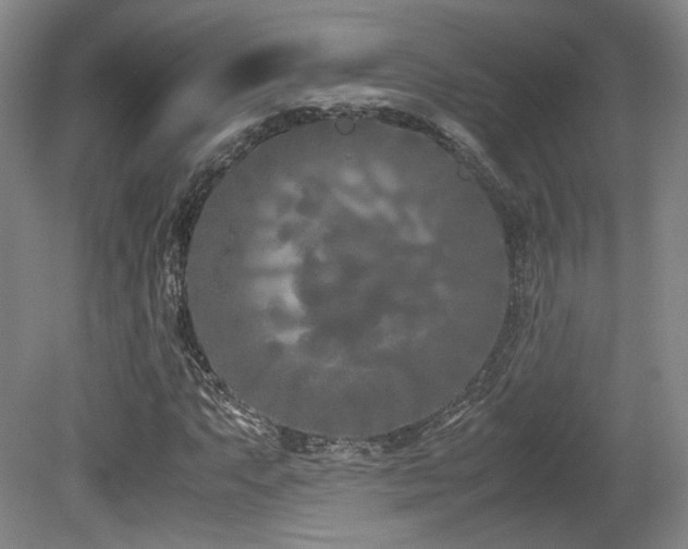 X0000080781063200612151423
