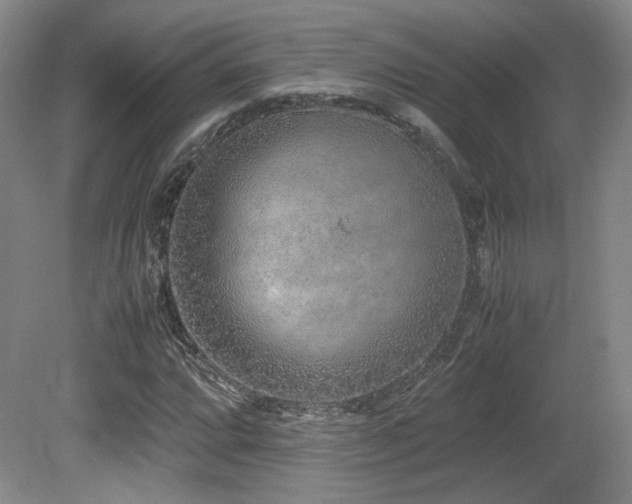 X0000080781064200612151423