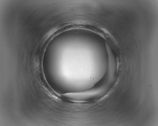 X0000080781065200612151423