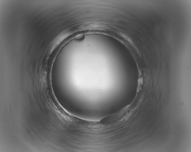 X0000080781066200612151423