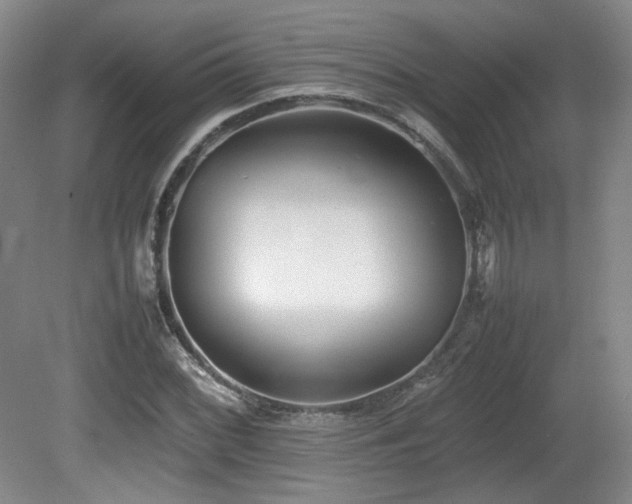 X0000080781068200612151423