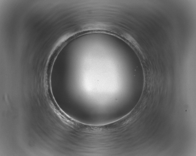 X0000080781072200612151423
