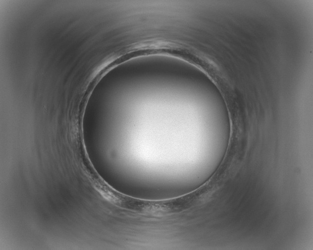 X0000080781073200612151423