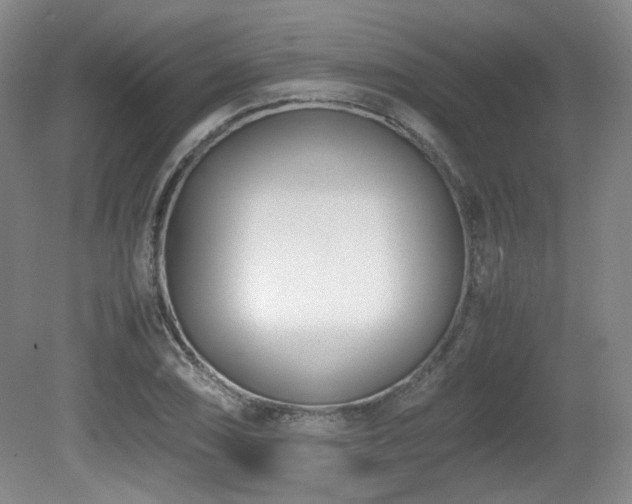 X0000080781074200612151423