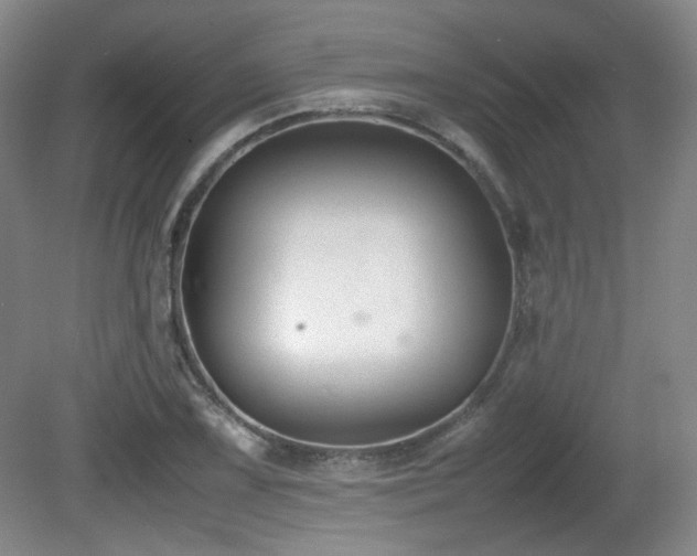 X0000080781075200612151423
