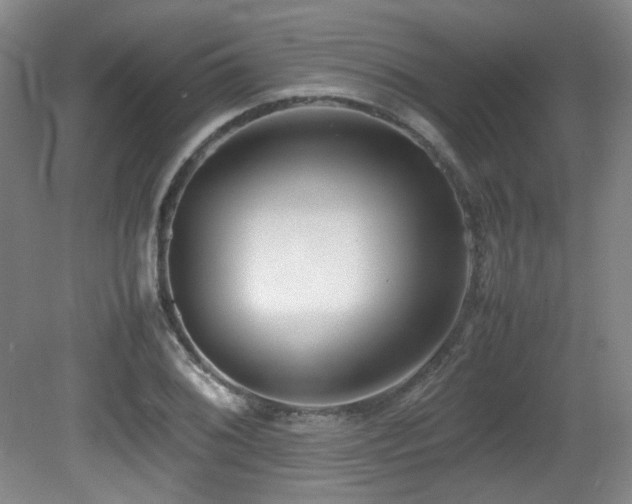 X0000080781076200612151423