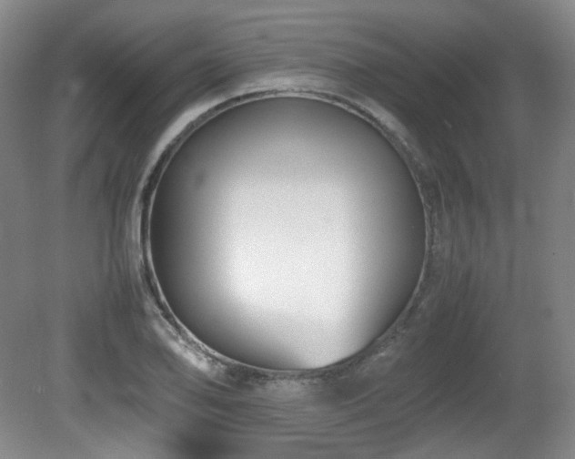X0000080781078200612151423