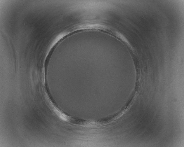 X0000080781079200612151423